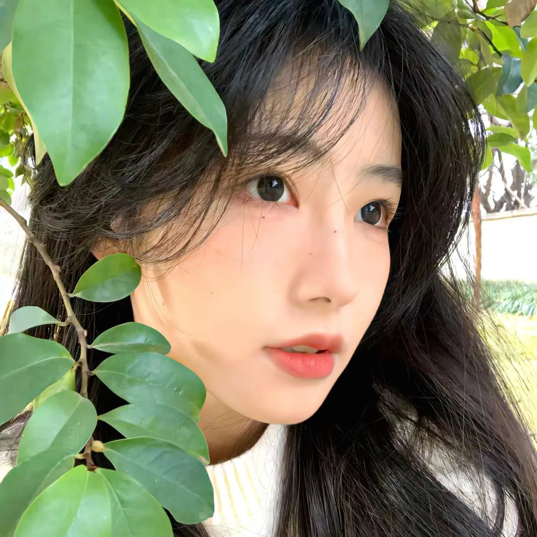 骗子的故事